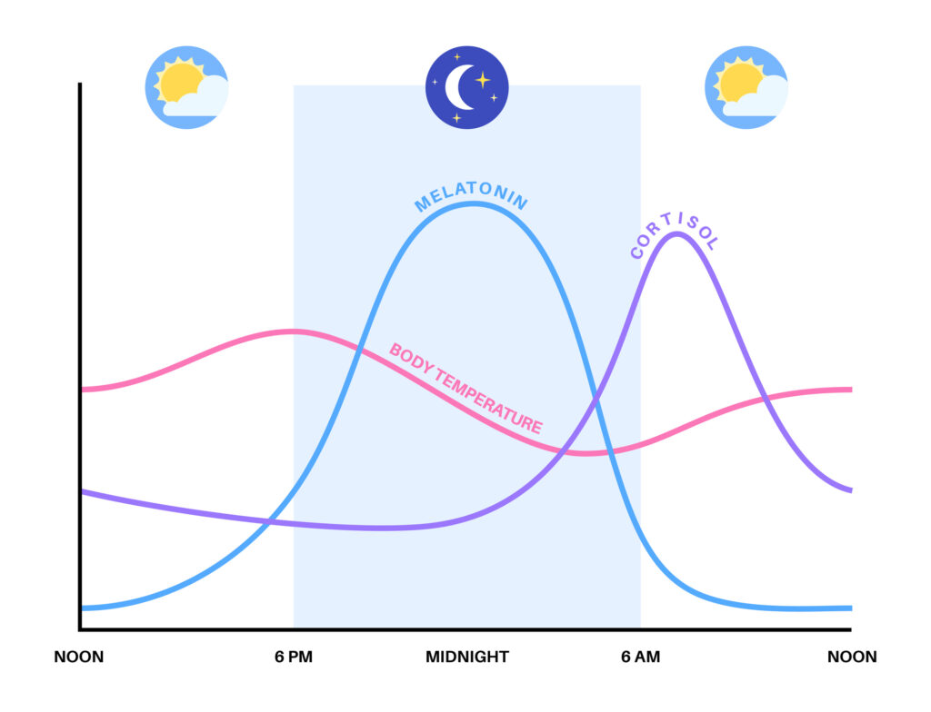 Light and its effect on circadian rhythm and focus 